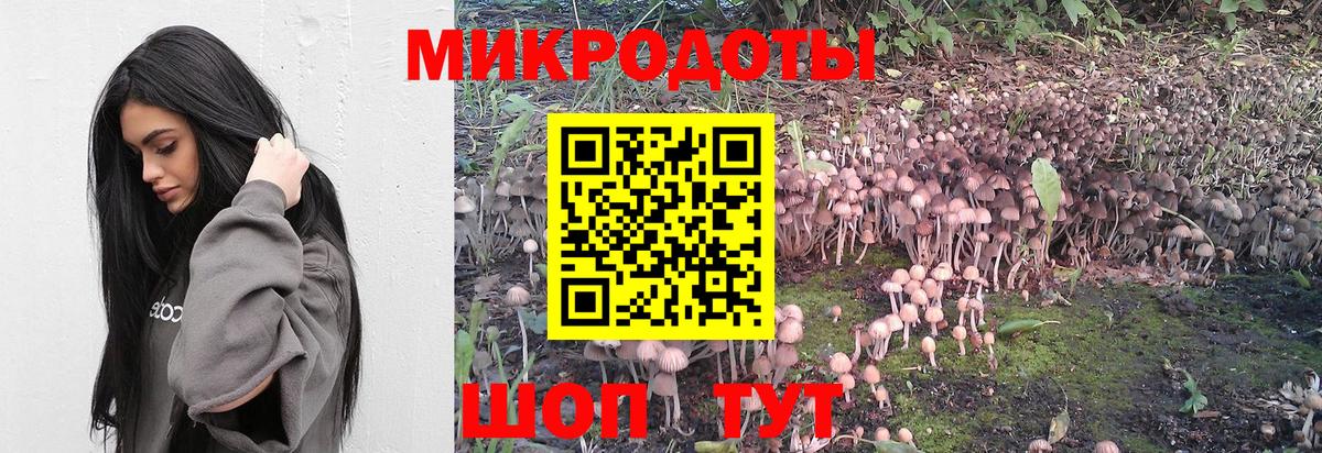 Нурлат  Галлюциногенные грибы Psilocybe  Галлюциногенные грибы Psilocybe  Вход с VPN 
